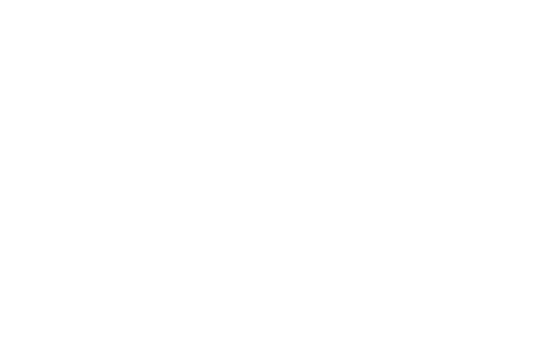 Fundacja BrainGreen