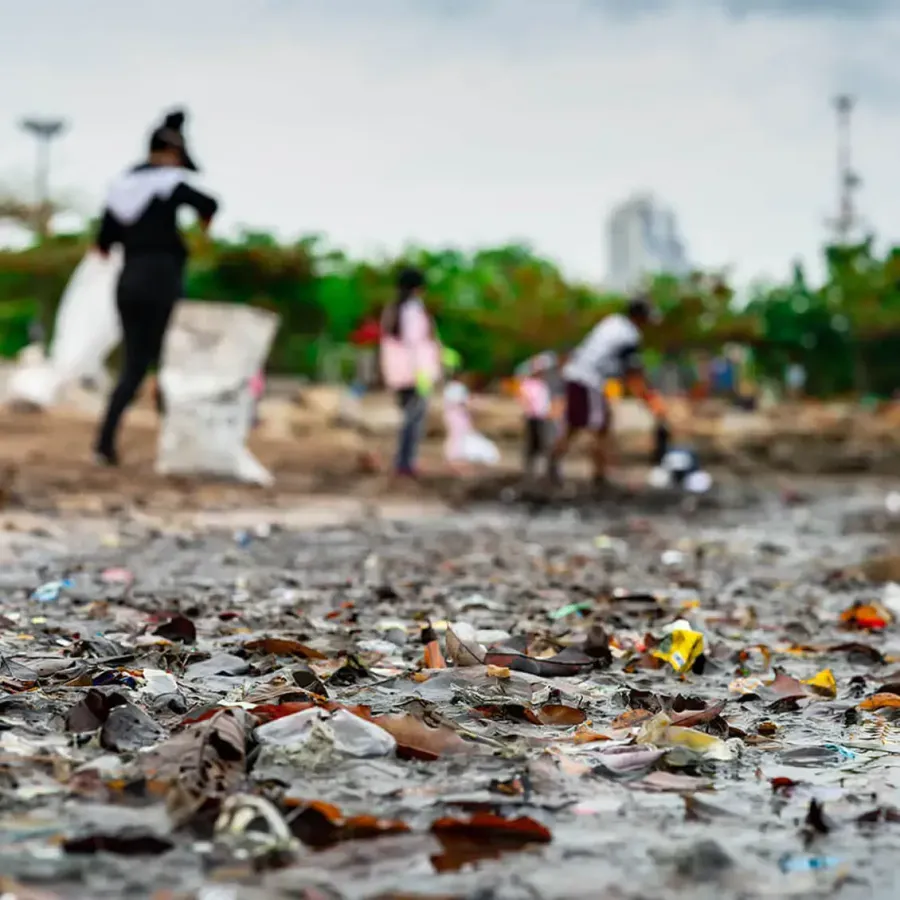 Volunteers collecting waste
